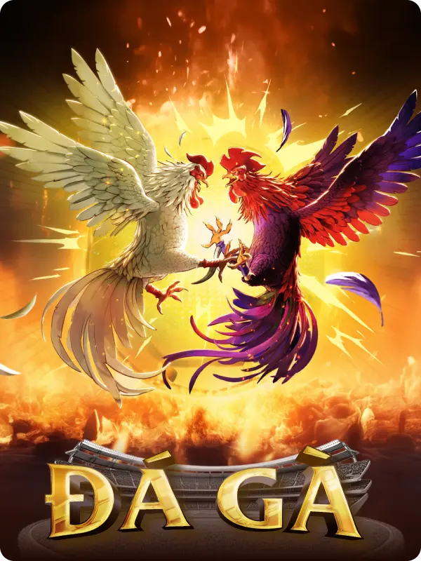 da ga vnd88 225x300